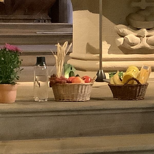 63E20492-E90D-42C0-B96E-4B9DBDBB10E2