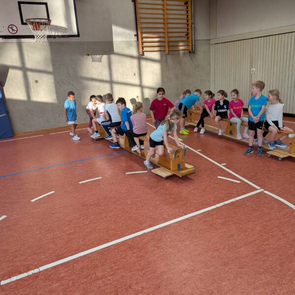 PXL_20260226_071736424